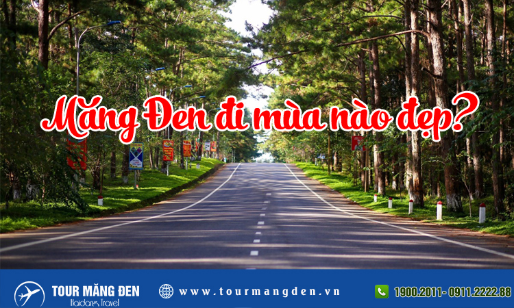 Măng Đen đi mùa nào đẹp? 