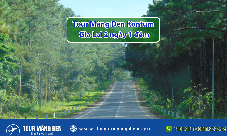 Tour Măng Đen Kontum Gia Lai 2 ngày 1 đêm