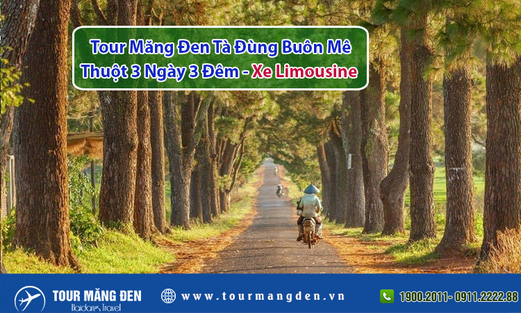 Tour Măng Đen Tà Đùng Buôn Mê Thuột 3 Ngày 3 Đêm